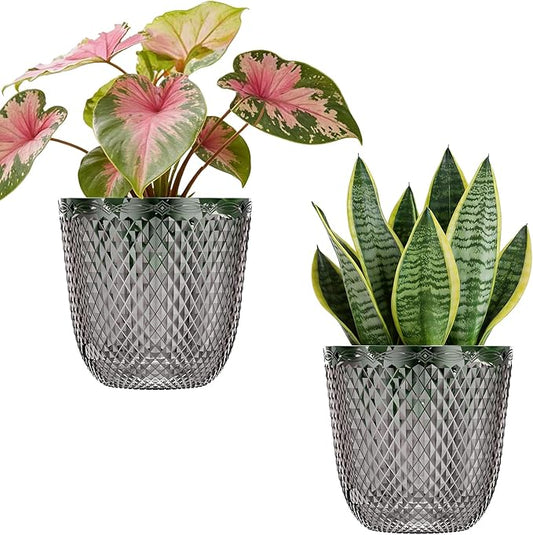 QCQHDU 2 Pack Self Watering Pots, 5.7 Inch Flower Pots with Drainage Holes and Water Filling Port, Garden Planter for Indoor Outdoor Plants (Gray)