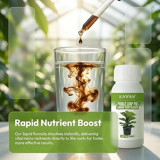 10oz Fiddle Leaf Fig Fertilizer Liquid - Organic Microbial Probiotic Plant Food for Ficus Lyrata - Promotes Roots & Greener Leaves