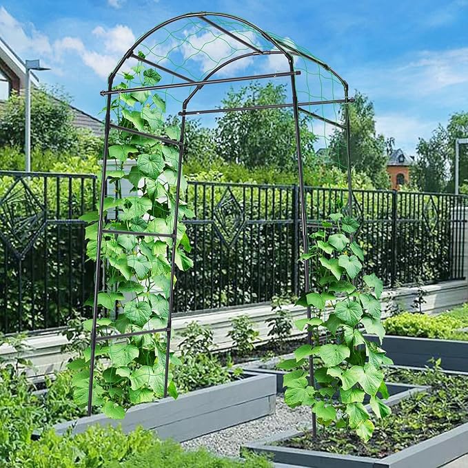 FOLLOOK Cucumber Trellis, 6.7ft Tall Garden Arch Trellis for Climbing Plants Outdoor Arbor Support Vine Vegetable Tomato Bean Pea Grape Squash Pumpkin Cucumber Raised Bed, Lightweight, Black