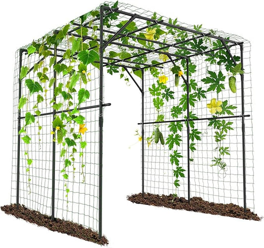 Tall Garden Arch Trellis for Climbing Plants, 79in Tall Metal Plant Support Trellis Archway for Climbing Plant Vegetables Cucumber, Outdoor Yard Lawn Garden Arch Tunnel Trellis