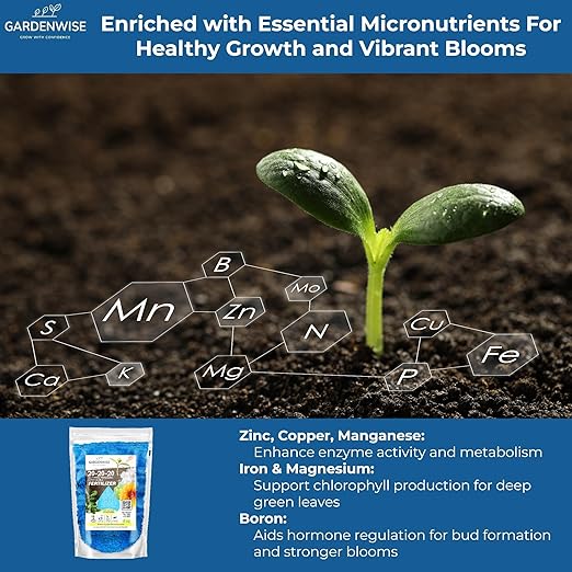 Gardenwise 20-20-20 Water-Soluble Fertilizer – Powder for Liquid Plant Food for Indoor & Outdoor Plants, Orchids, Vegetables, Lawns, Flowers – 20 20 20 Fertilizer 1/2 Quart (1 lb)