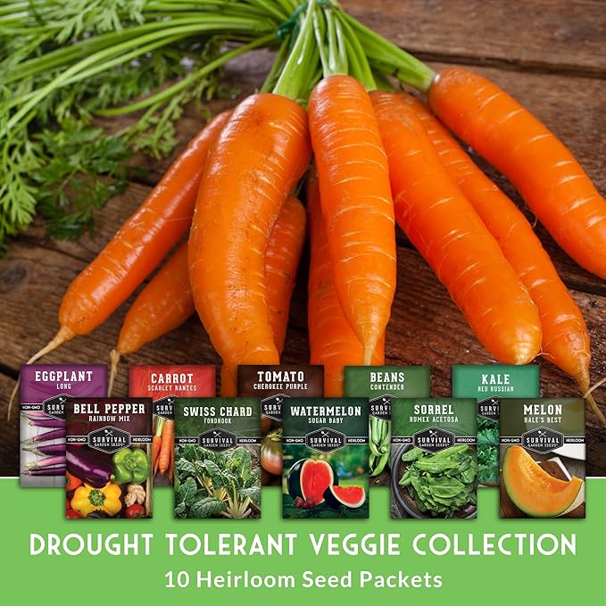 Heat & Drought Tolerant Vegetable Seeds Collection - 10 Variety Pack for Hot Climates & Dry Conditions - Heirloom Non-GMO Varieties for Southern, Texas & Zone 7-10 Gardens - Survival Garden Seeds
