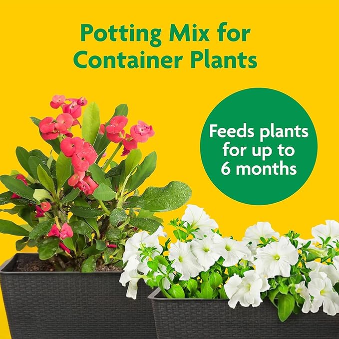 Miracle-Gro 3 Pack Potting Soil Mix for Container Plants, Flowers, Vegetables, Shrubs, Annuals, and Perennials, Feeds for Up to 6 Months, 2 Cu Ft