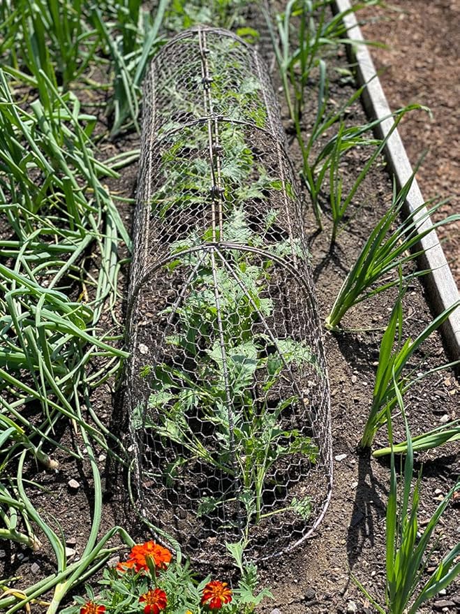 Gardener’s Supply Company Chicken Wire Cloche Garden Plot Plants Cover Protector | Sturdy Arch Metal Tunnel Cage Flowerbeds and Seedlings Garden Protection from Wild Animals | (3-in-1 Set) Extra Large