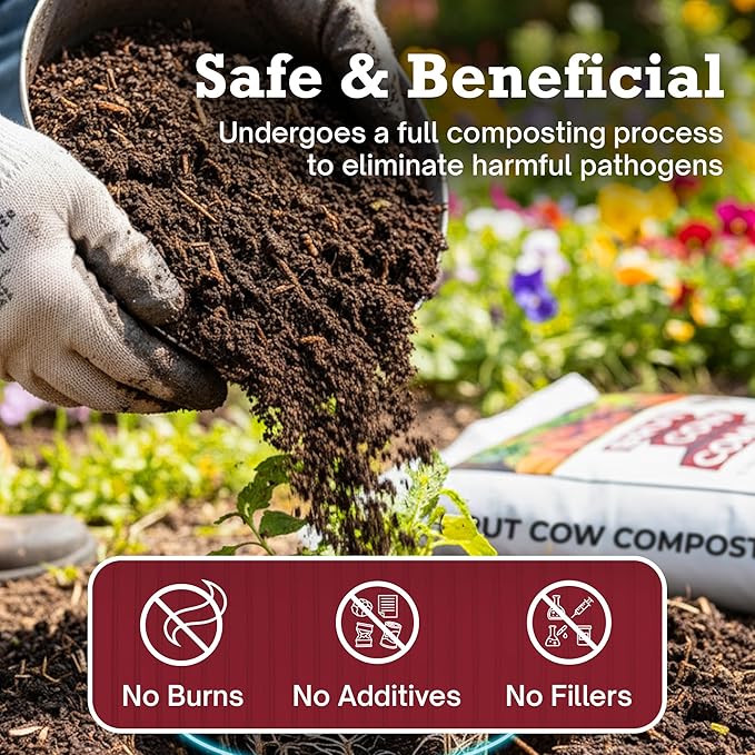 Brut Cow Compost – Nutrient-Rich Composted Cow Manure Organic Soil Amendment – 100% Pure Compost, Additive-Free Fertilizer for Vegetable Gardens, Flowers, Lawns & Indoor Plants – 10 Quart