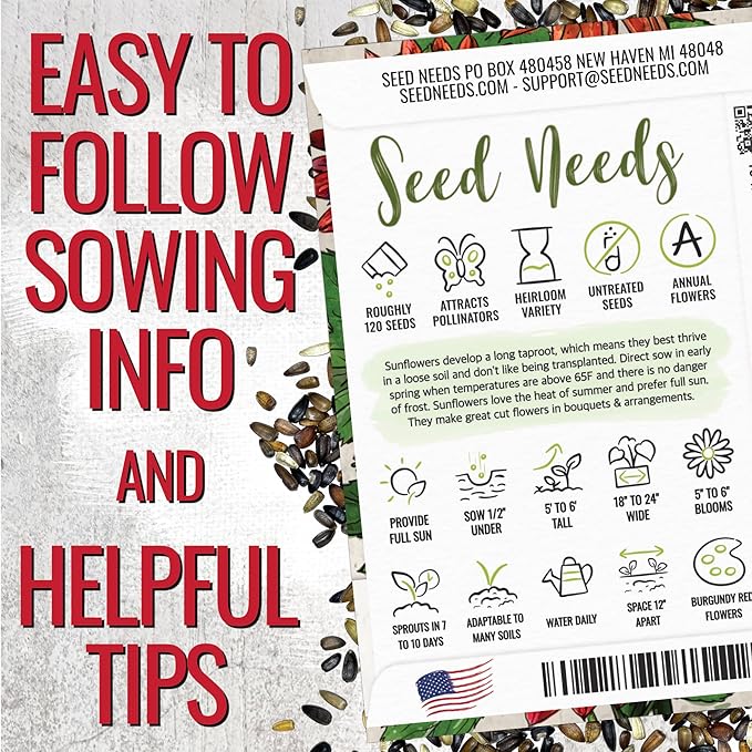 Seed Needs Sunflower Seeds for Planting Red Sun Sunflowers - Heirloom & Open Pollinated Annual Flowering Plants to Grow a Butterfly Garden to Attract Pollinators (5 Packs)