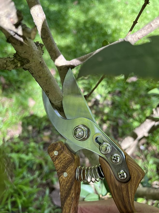Garden Pruning Shears, Floral wire cutter, German Stainless Steel Blades, 1 inch Cut Capacity, Garden Snips for flowers with Non-Slip Handle, Lightweight & Ergonomic Professional