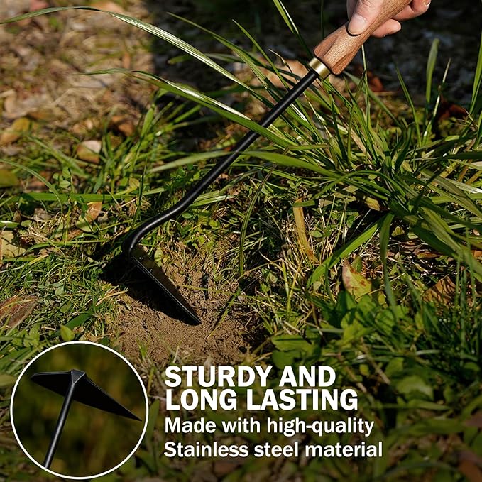 ROYTOA Triangle Hand Hoe, Heavy Duty Stainless Steel Weed Puller and Weed Remover Gardening Tool with Walnut Handle for Weeding, Soil Loosening and Cultivating