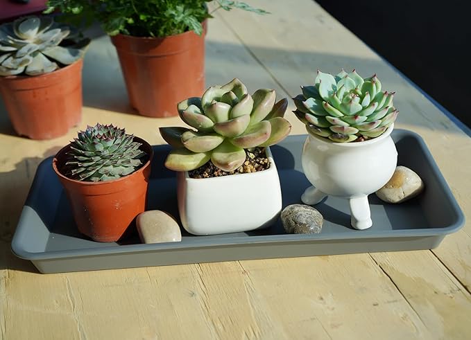VUWEZ 2 Pack of Plastic Plant Tray Saucer Rectangular 24 inch, Plant Trays Saucers for Indoors Outdoor, Plant Water Drip Tray for Flower Pot Planter, Windowsill Plant Tray (8 X 24'', Gray)
