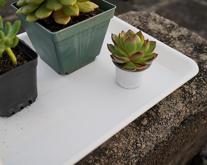 VUWEZ 2 Pack Plant Growing Nursery 1020 Trays, Heavy Sturdy Seed Starting Saucer, No Holes Starter Tray for Indoors (22"x11.2", Creamy White)