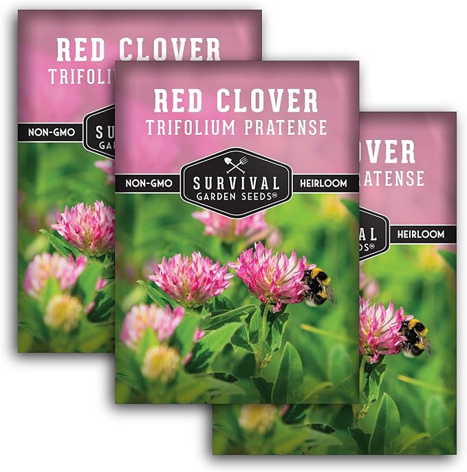 Red Clover Seeds for Planting – Nitrogen-Fixing Cover Crop & Ground Cover for Soil Building and Pollinators – Heirloom Non-GMO Medicinal Herb – Survival Garden Seeds (3 Packs)