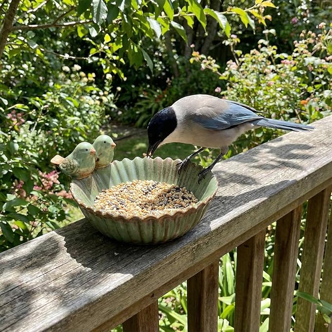 2 Pack 6.3 Inch Birds Special Design Fun Garden Flower Ceramic Planter Birds Feeder Succulent Pot Flowerpot or Feeder Bird Food Holder for Garden Outside Decor for Outdoor Gifts