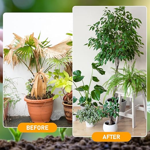 Organic Soil Activators and Plant Fertilizers, Garden Beds for Cultivation, Potting Mix and Seedling Compost, Promoting Plant Rooting (2PCS)