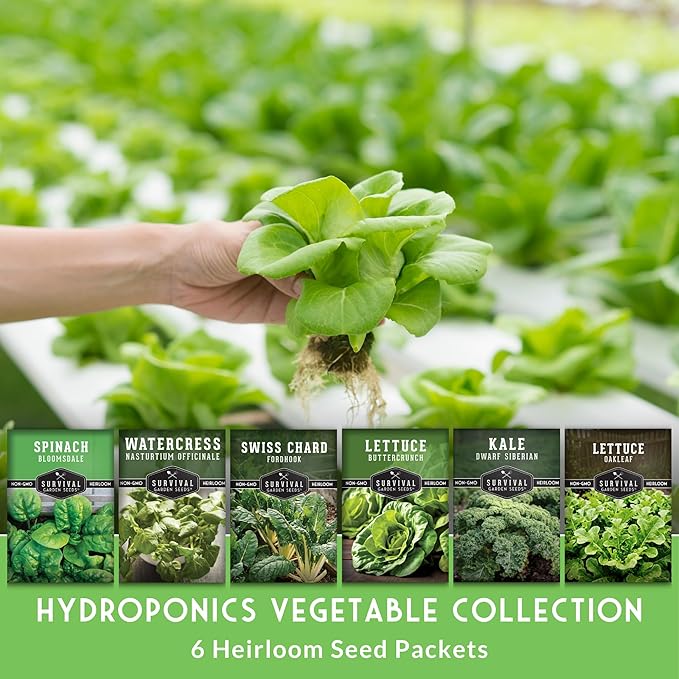 Hydroponics Vegetable Seed Collection for Planting - Watercress, Spinach, Siberian Kale, Swiss Chard, Buttercrunch, Oakleaf Lettuce Varieties to Grow Indoors Non-GMO Heirloom Survival Garden Seeds