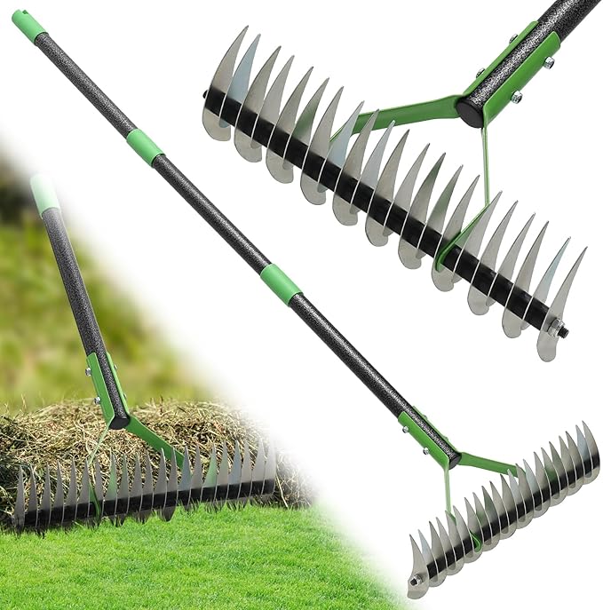 Thatch Rake, 65" Lawn Thatching Rake for Cleaning Dead Grass, 13 Inch Wide Heavy Duty 21 Teeth Steel Metal Rakes, Landscaping Raking Garden Tools for Lawn Care Loosening Leveling Soil Mulch