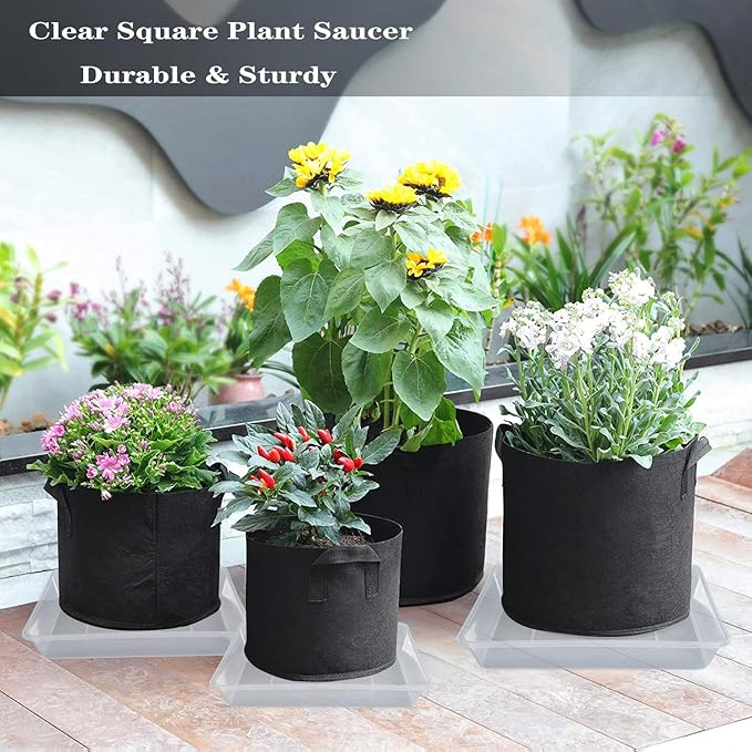 LWALRS Square Plant Saucer 12 Inch 5 Pack, Strong Clear Plastic Flower Plant Pot Saucer, Square Planters for Indoors and Outdoors Plants, Garden Plant Saucers for Pots Plant Trays.