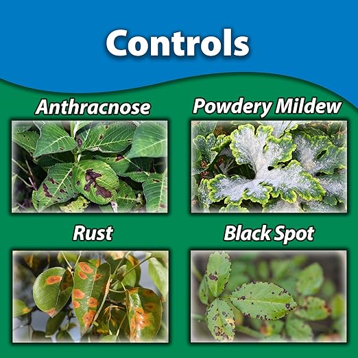 Monterey - Fungi-Max Fungicide for Plants - Myclobutanil Fungicide for Lawns, Plants, Vegetables and More - Apply Using a Sprayer - 1 Pint
