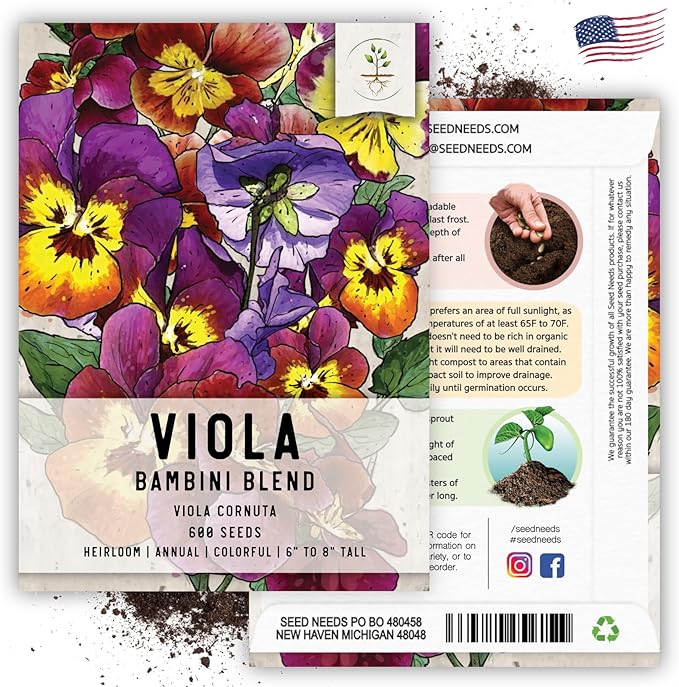 Seed Needs Viola Seeds for Planting Bambini Violas - Heirloom & Open Pollinated Annual Flowers to Plant and Grow an Outdoor Wildflower Butterfly Garden to Attract Pollinators (2 Packs)