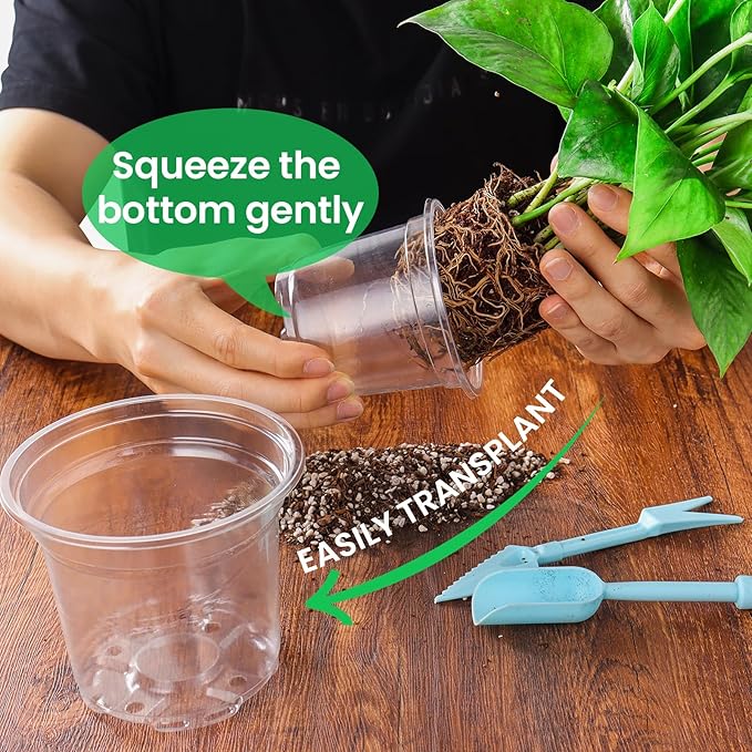 Bluepro 36 Packs 5/4/3.5 Inch Reinforced Clear Nursery Pots with Drainage Hole, Transparent Variety Pack Plastic Plant Pot Seedling Planter for Vegetable Propagation, Root Cutting, Seed Starting