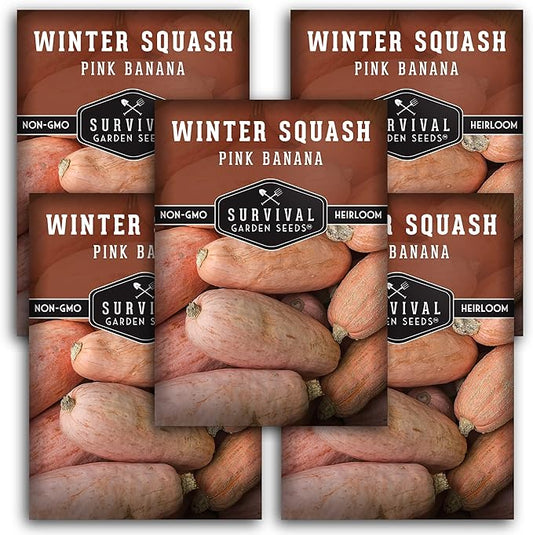 Pink Banana Winter Squash Seeds for Planting - Heirloom Non GMO Vegetable Seed - Extra Large, High Yield, Easy to Grow Unusual Variety - Survival Garden Seeds (3 Packs)