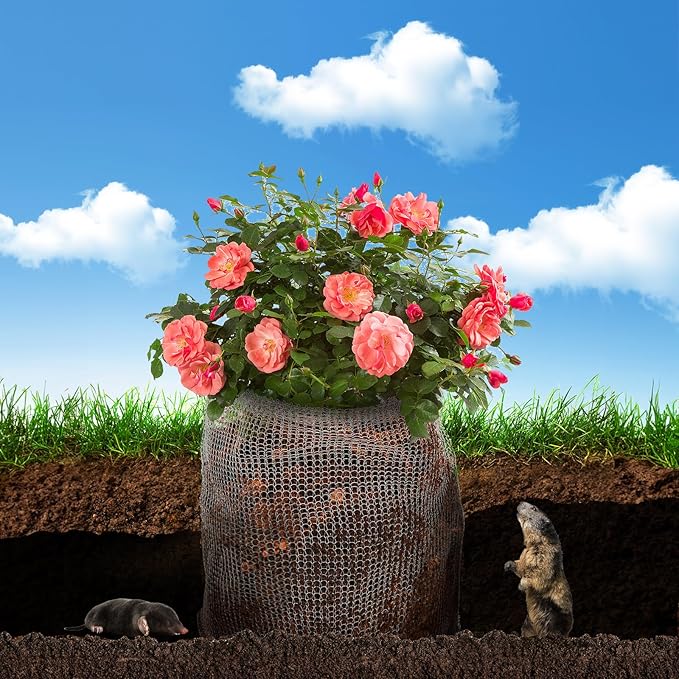 Noamus 8 Pack Plant Root Guard Basket, 5 Gallon Gopher Mole Vole Mesh, Reusable Stainless Steel Plant Speed Wire, Heavy Duty Protector Animal Cages for Garden Trees Bulbs Flowers Vegetables Protection
