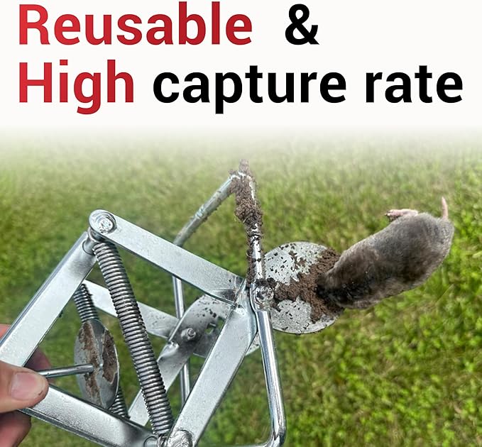 Mole Trap Scissor 2 Pack, Upgraded Mole Traps for Lawns that Kill Best, Galvanized Steel Mole Killer, Easy Step Setup
