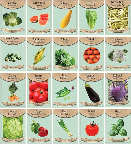 20 Variety Vegetable & Herb Seed Set – Non-GMO Heirloom Seeds for Planting – Includes Tomatoes, Lettuce, Squash, Peas, Corn, Herbs & More – Indoor, Outdoor & Garden Growing - Packaged for 2025