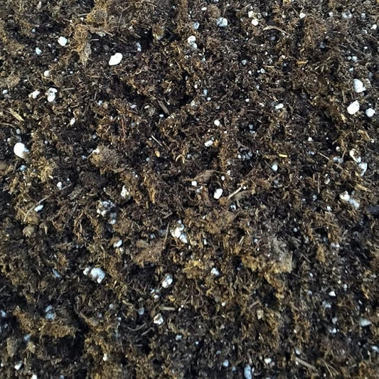 Hirt's Gardens All Natural General Purpose Potting Soil - 4 Quart