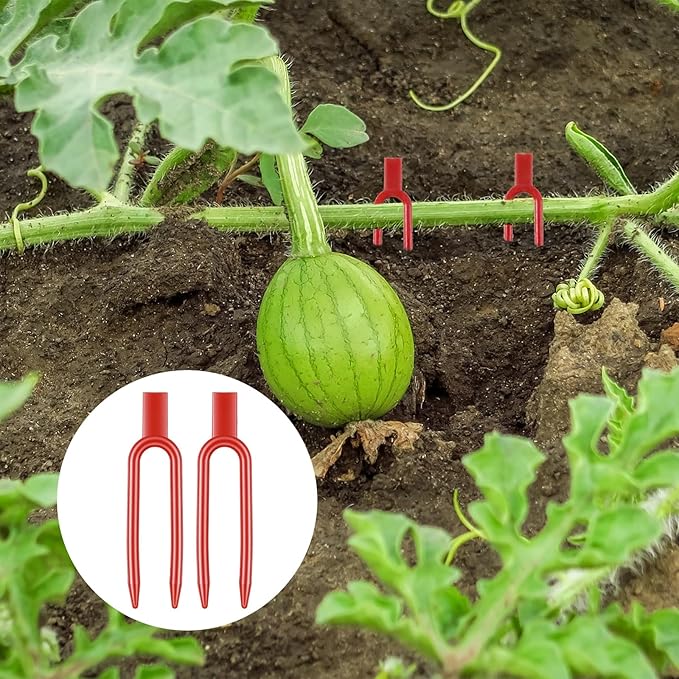 120 PCS Plant Pins for Pothos, Plastic Strawberry Garden Pins, Reusable Plant Pins for Indoor Plants, Strawberry Support Pin Fork Vine Fixing Clips, Garden Fork for Plant Cutting Farming Securing(Red)