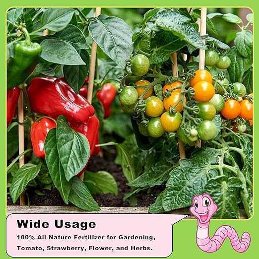 Worm Castings Organic Fertilizer 5.5 LBS by Doter, All Nature Fertilizer for Gardening, Tomato, Strawberry, Flower, and Herbs