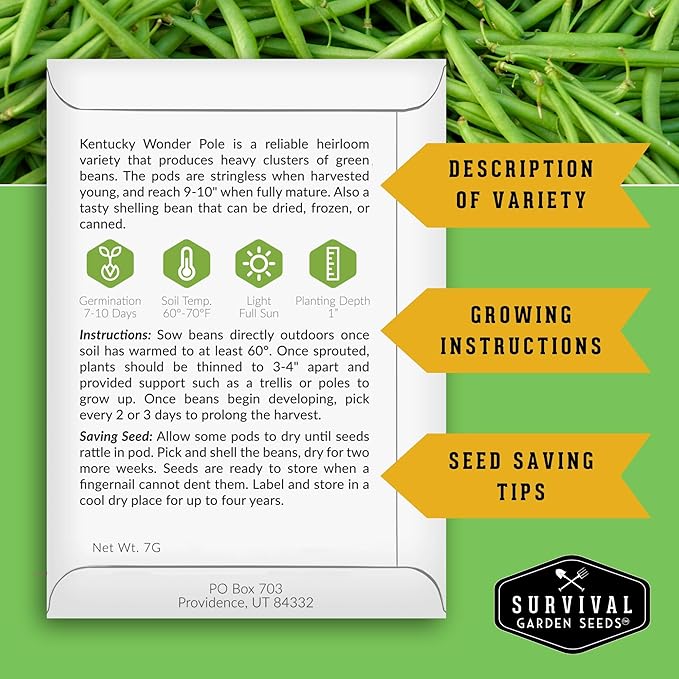 Survival Garden Seeds - Kentucky Wonder Pole Bean Seed for Planting - 2 Packets with Instructions to Plant and Grow Green Snap Beans in Your Home Vegetable Garden - Non-GMO Heirloom Variety