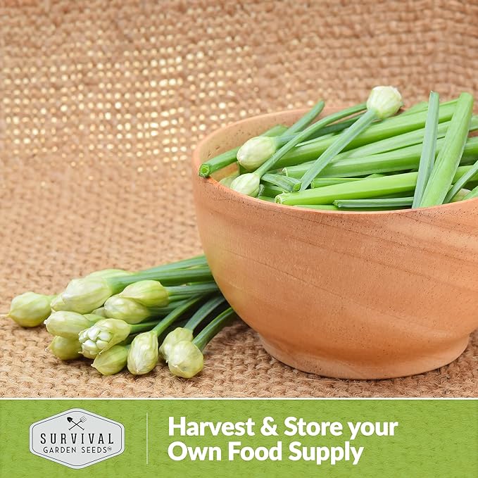 Survival Garden Seeds 2 Packs Garlic Chives Seed for Planting - Packet with Instructions to Grow Delicious Perennial Herbs in Your Home Vegetable Garden - Non-GMO Heirloom