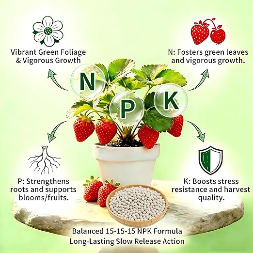 15-15-15 All Purpose Granular Garden Fertilizer for Flowers and Vegetable Beds, Indoor/Outdoor Plants, Fruit Trees and Lawns, Promotes Fruit Growth and Big Blooms(1LB)