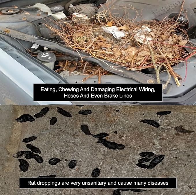 Mice/Mouse, Rat, Squirrel & Rodent Wire, Engine & Vehicle Protection Spray Prevents Chewing & Nesting for Cars, Trucks, RV’s, ATV’s. Great for Winter Protection. Ready to Use (128 Oz Gallon)