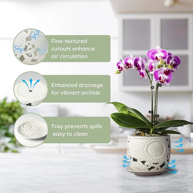 HERDUK Ceramic Orchid Pot, Orchid Pots with Drainage Holes & Saucer 6.5 Inch,Orchid Pot for Repotting Indoor, Orchid Containers with Precise Aeration & Drainage