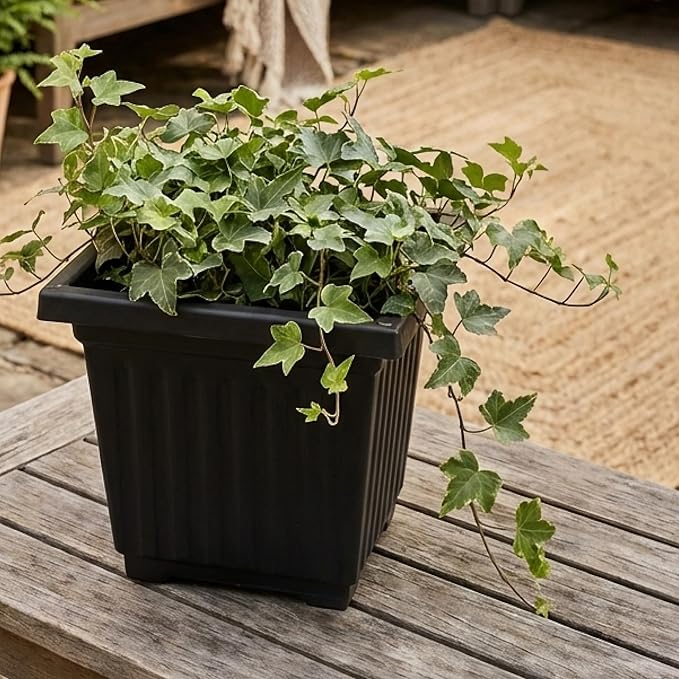 12 Inch Venetian Square Plant Pots with Drainage Holes, Lightweight UV-Resistant Plastic Outdoor Planters, 2-Pack Flower Pots for Patio & Garden Decor, Black