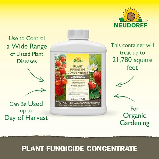 Neudorff Plant Fungicide Concentrate for Roses, Fruits & Vegetable 16 OZ | Ready-to-Use Copper Soap Fungicide Control Powdery Mildew and Other Diseases and Fungus for Organic Gardening,