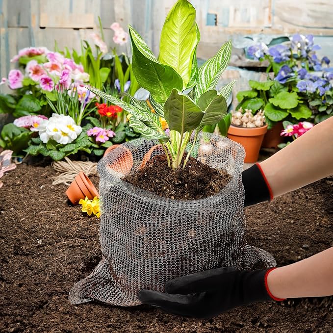 Noamus 8 Pack Plant Root Guard Basket, 5 Gallon Gopher Mole Vole Mesh, Reusable Stainless Steel Plant Speed Wire, Heavy Duty Protector Animal Cages for Garden Trees Bulbs Flowers Vegetables Protection