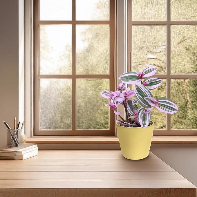 7” Self-Watering Pot – Eco-Friendly Bamboo Planter, Biodegradable & Plastic-Free, Indoor/Outdoor Plant Pot with Built-in Water Well for Healthy Root Growth