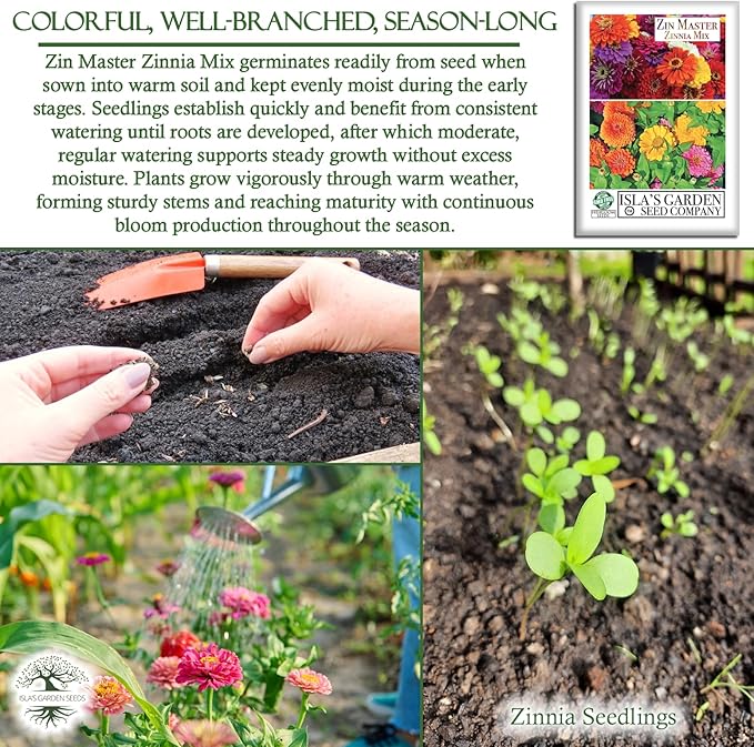 Zin Master Mix Zinnia Seeds (Zinnia elegans) – 200+ Heirloom Non GMO Flower Seeds by Isla’s Garden Seeds, Easy Growing Colorful Summer Blooms for Pollinators, Beds, Borders, Cutting Gardens, Gift Idea