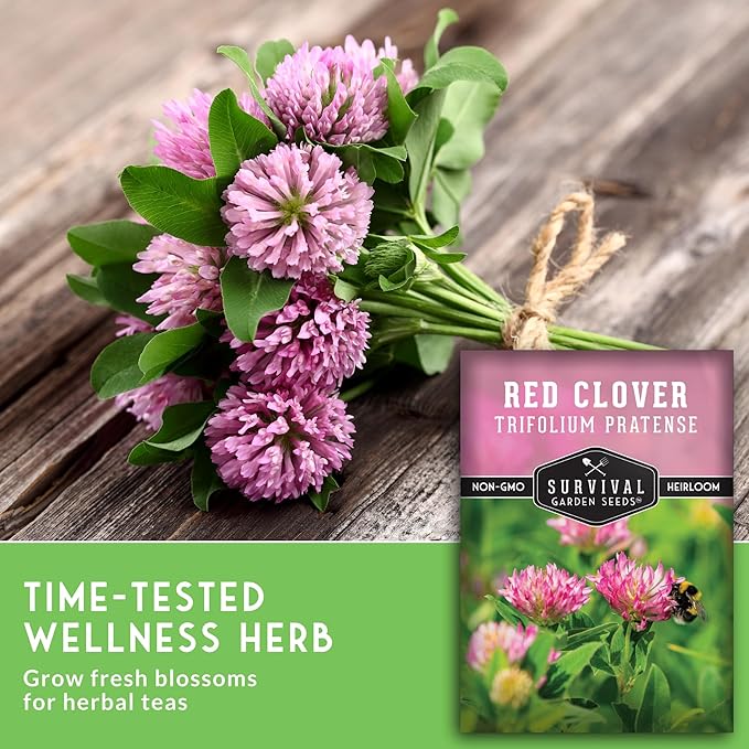 Red Clover Seeds for Planting – Nitrogen-Fixing Cover Crop & Ground Cover for Soil Building and Pollinators – Heirloom Non-GMO Medicinal Herb – Survival Garden Seeds (3 Packs)