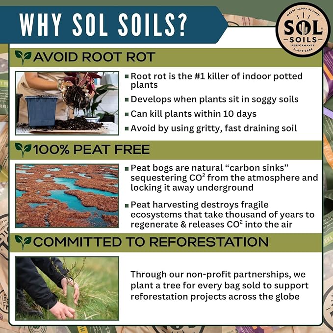 Sol Soils Calcined Clay – 100% Peat-Free Soil Amendments with Superior Drainage, Aeration, & Root Health for Indoor Plants, Succulents, Bonsai & More - 1 Quart
