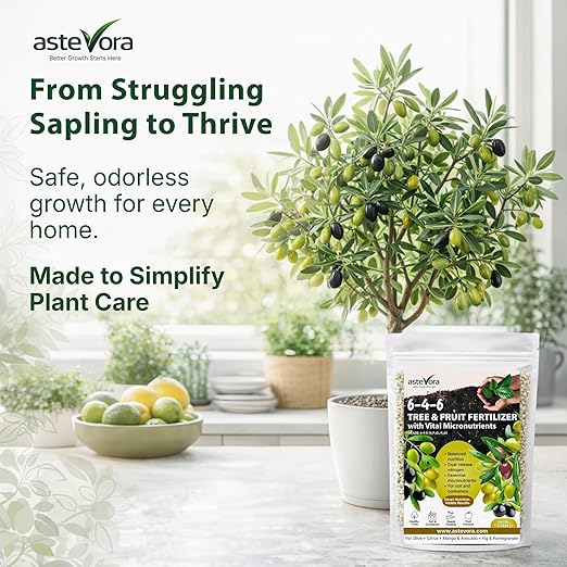 Olive Tree Fertilizer – Fruit Tree Fertilizer for Olive Tree, Citrus, Lemon, Lime, Fig, Avocado, Mango, Apple & Pomegranate – for Potted & Outdoor Trees (1 Quart - 2 lbs.)