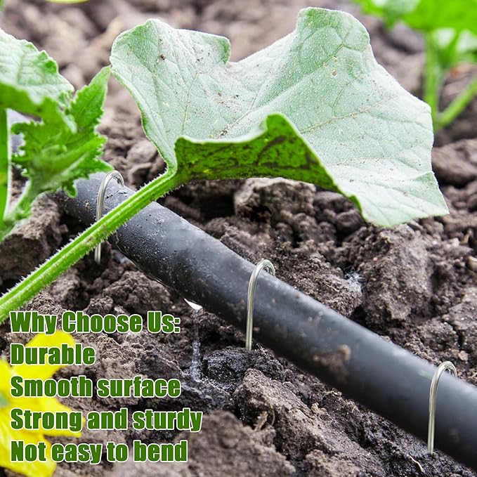 100Pcs Irrigation Drip Tubing Landscape Staples J Shape Garden Stakes 5 Inch Landscaping Staples Lawn Pins for Drip Tubing (Designed to Hold Drip Tubing Up to 1/2"" Diameter), Sliver