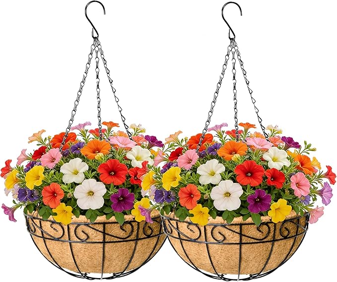 EIMQUVW 2 Pack Outdoor Patio Hanging Baskets 12 Inch Chain Link Round Metal Hanging Planters with Coco Liner Wire Flower Pots Suitable for Balconies Porches Gardens and Windowsills