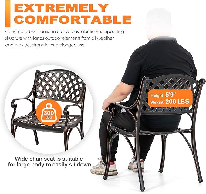 NUU GARDEN Cast Aluminum Patio Dining Chairs with Armrests for Indoor Outdoor Bistro Chairs for Balcony, Backyard, Garden, Black with Bronze Edge