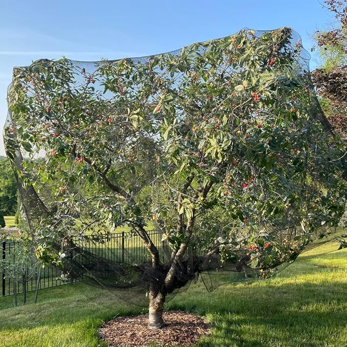 Bird Netting for Chicken Coop 100x100 Ft, 1" Mesh, Strong Woven Poultry Netting Roof Cover for Chicken Run, Heavy Duty Bird Net for Fruit Trees, Blueberry, Vegetables, Garden Protection