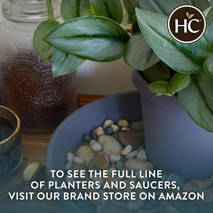 The HC Companies 15.5 Inch Classic Round Planter Pots with Drainage, Rolled Rim Plastic Planters for Indoor & Outdoor Plants, 2-Pack Decorative Flower Pots for Garden, Office & Home Decor, Chocolate