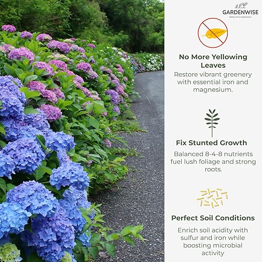 GARDENWISE Slow Release Hydrangea Fertilizer with Iron & Sulfur – Indoor & Outdoor Soil Acidifier for Miracle Growth (5 qt)