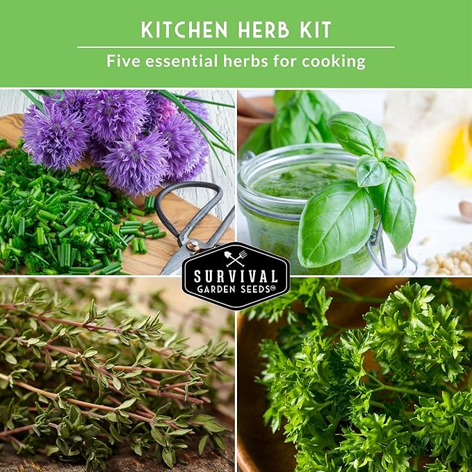 Kitchen Herb Seeds Variety Pack – 5 Garden Herb Seeds for Planting: Basil, Curly Parsley, Cilantro, Chives & Thyme – Heirloom Non GMO Indoor Outdoor Seed Vault - Survival Garden Seeds